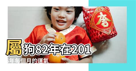 1982屬狗2023運勢顏色|1982年属狗人2023年运势及运程 82年41岁生肖狗2023年每月运。